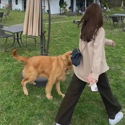 求求你,吃我吧海报