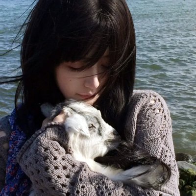 花之战海报